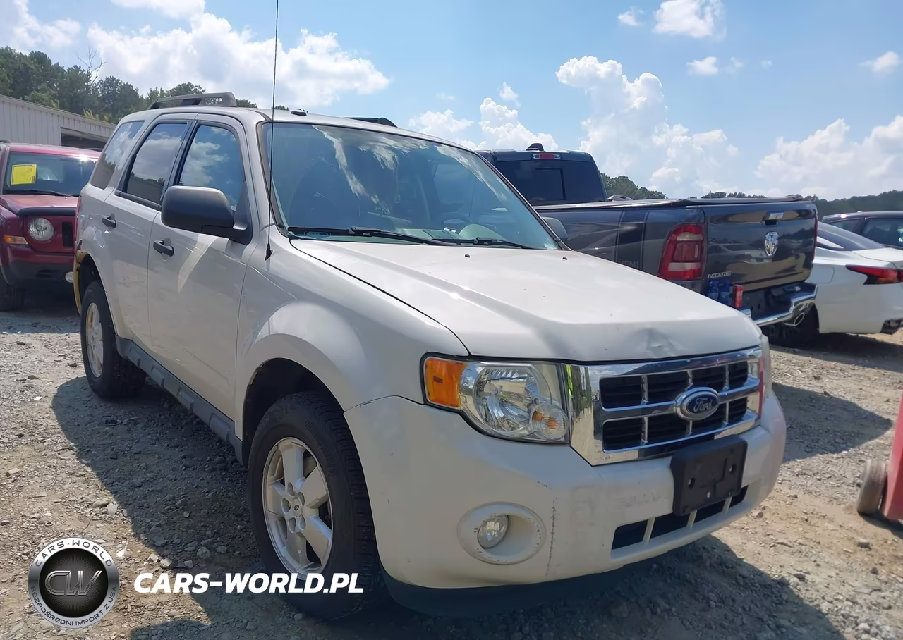 2010 Ford Escape Xlt