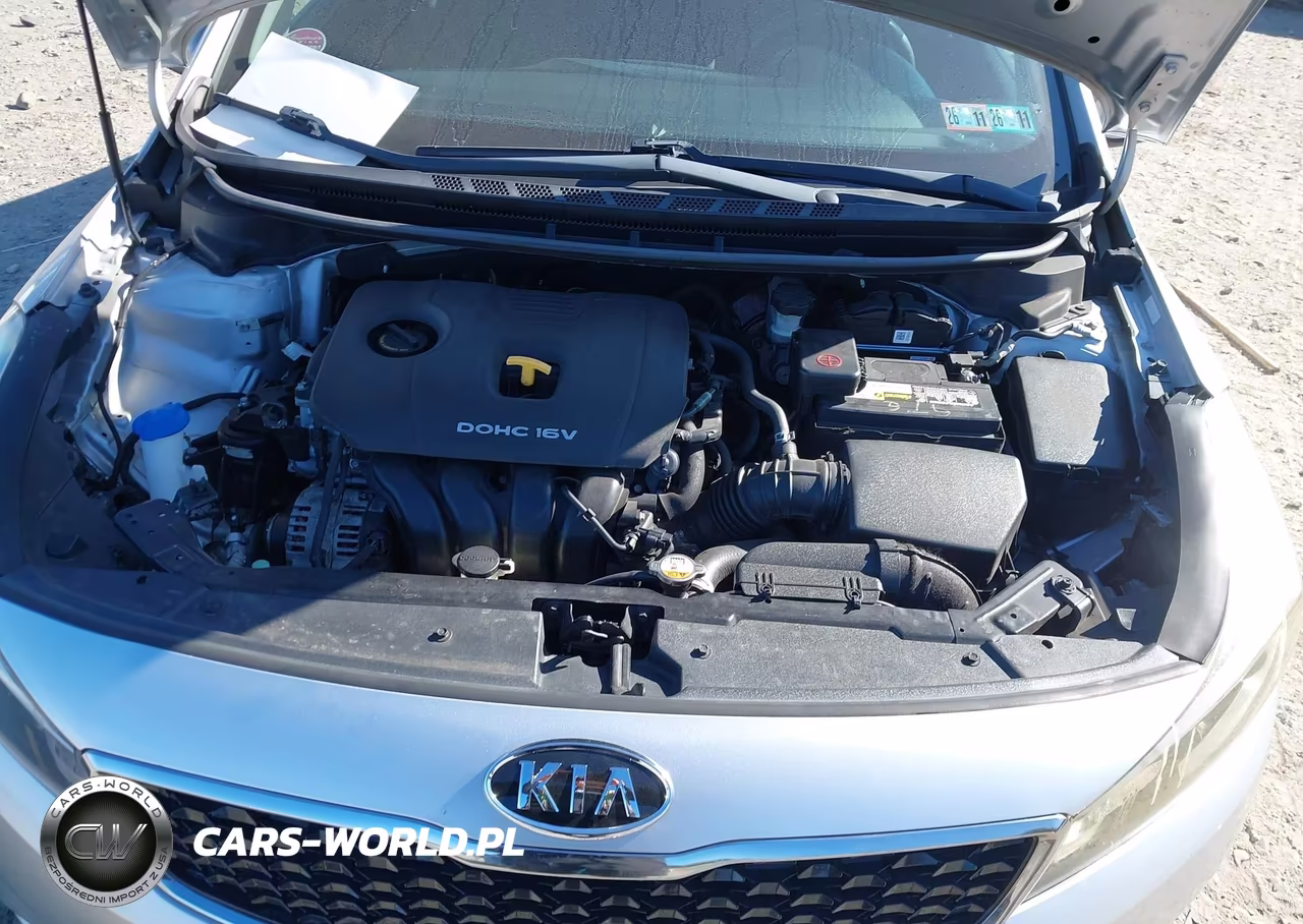2018 Kia Forte Lx VIN:3KPFL4A77JE197794 - 10