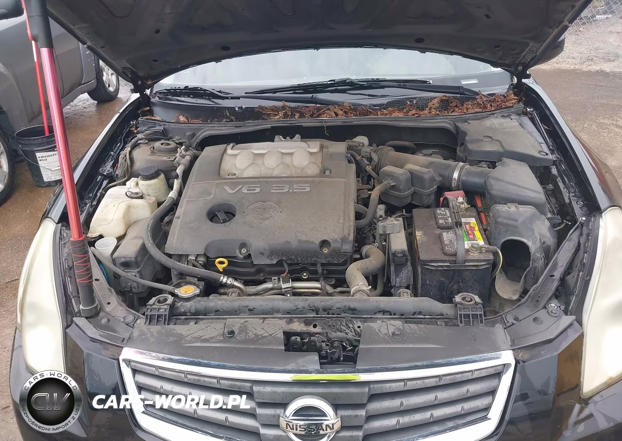 2008 Nissan Maxima 3.5 Se VIN:1N4BA41E68C831137 - 10