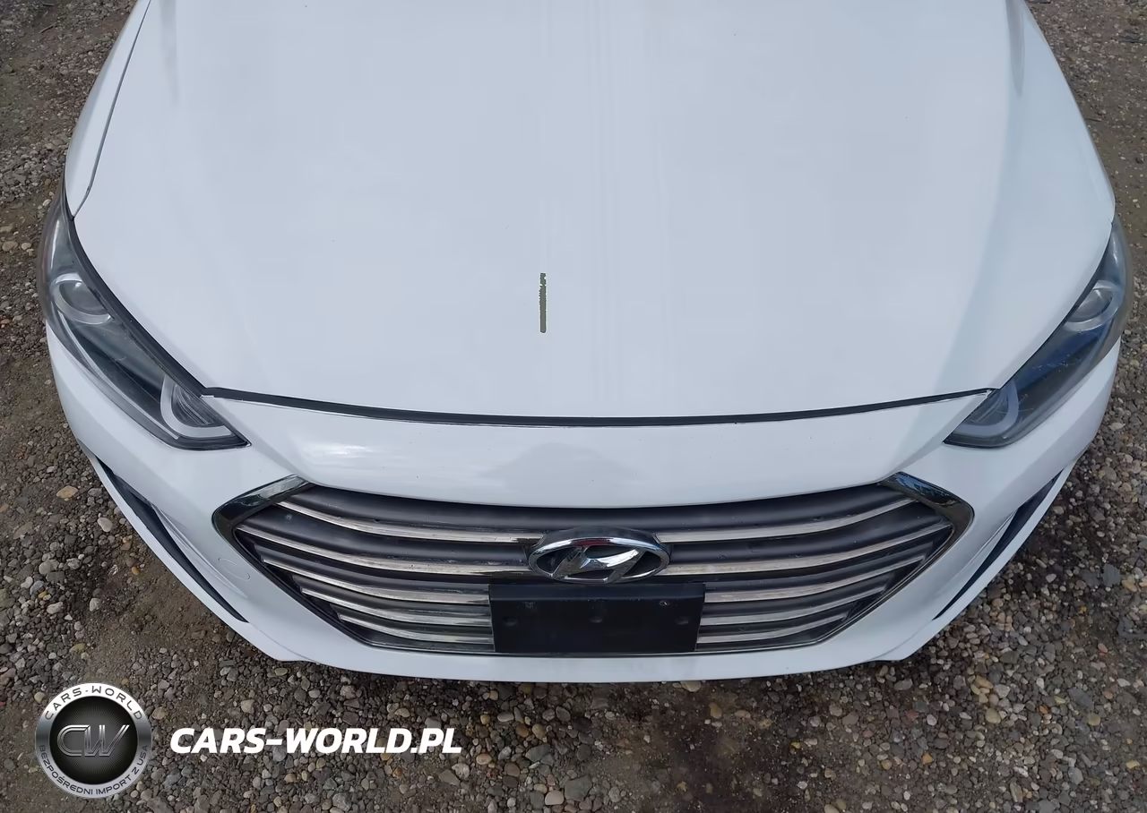 2017 Hyundai Elantra Limited VIN:5NPD84LF6HH005381 - 6