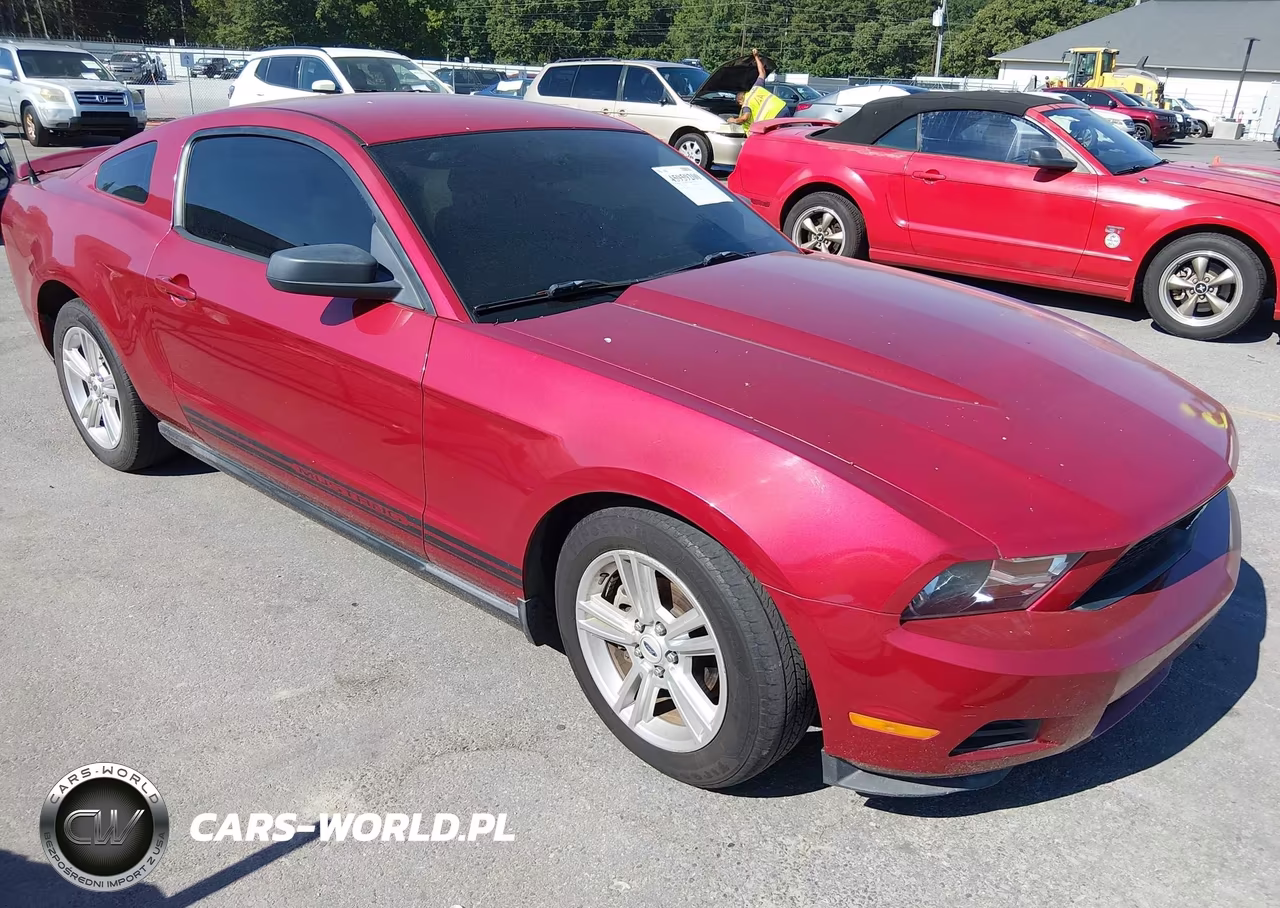 2010 Ford Mustang V6-V6 Premium