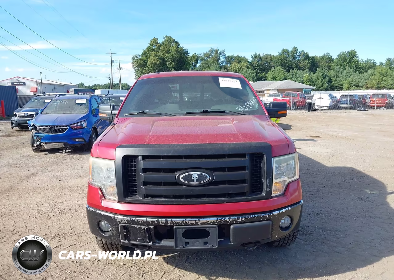 2010 Ford F-150 Fx4-Lariat-Xl-Xlt VIN:1FTFX1EV5AFC56326 - 12