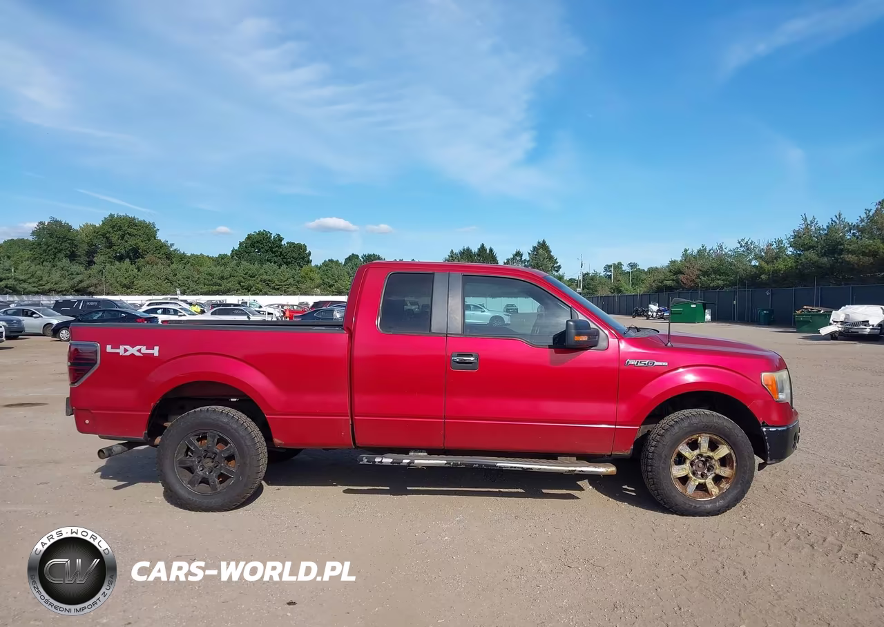 2010 Ford F-150 Fx4-Lariat-Xl-Xlt VIN:1FTFX1EV5AFC56326 - 13