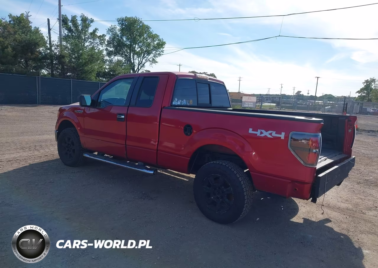 2010 Ford F-150 Fx4-Lariat-Xl-Xlt VIN:1FTFX1EV5AFC56326 - 3