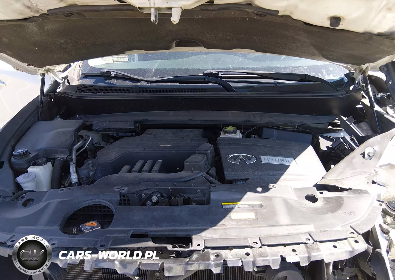 2014 Infiniti Qx60 Hybrid VIN:5N1CL0MM9EC545570 - 10