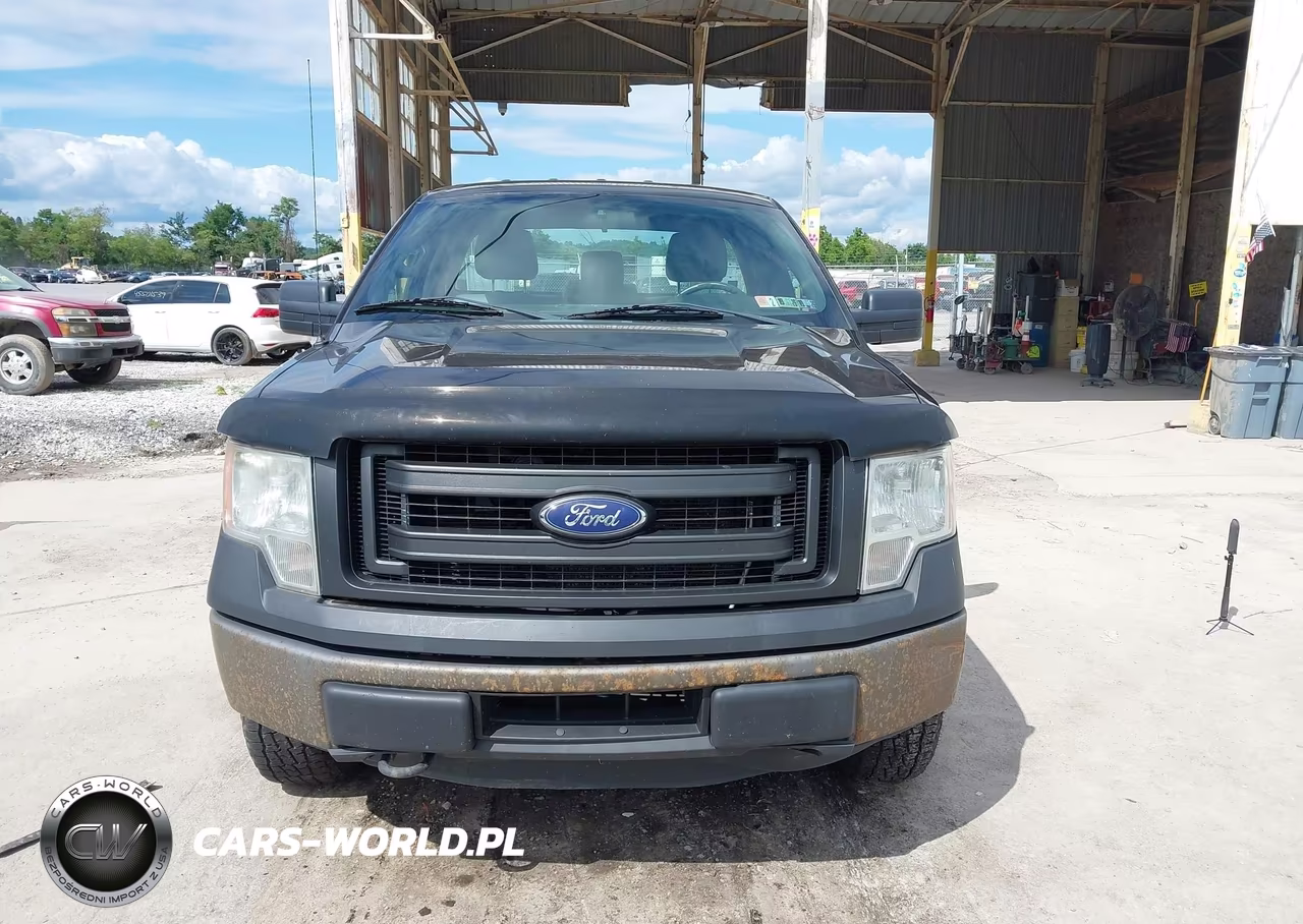 2014 Ford F-150 Xl VIN:1FTMF1EMXEKG06547 - 11
