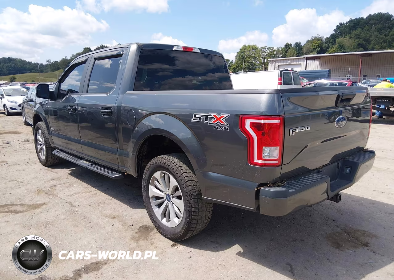 2017 Ford F-150 Xl VIN:1FTEW1EPXHFC12574 - 3