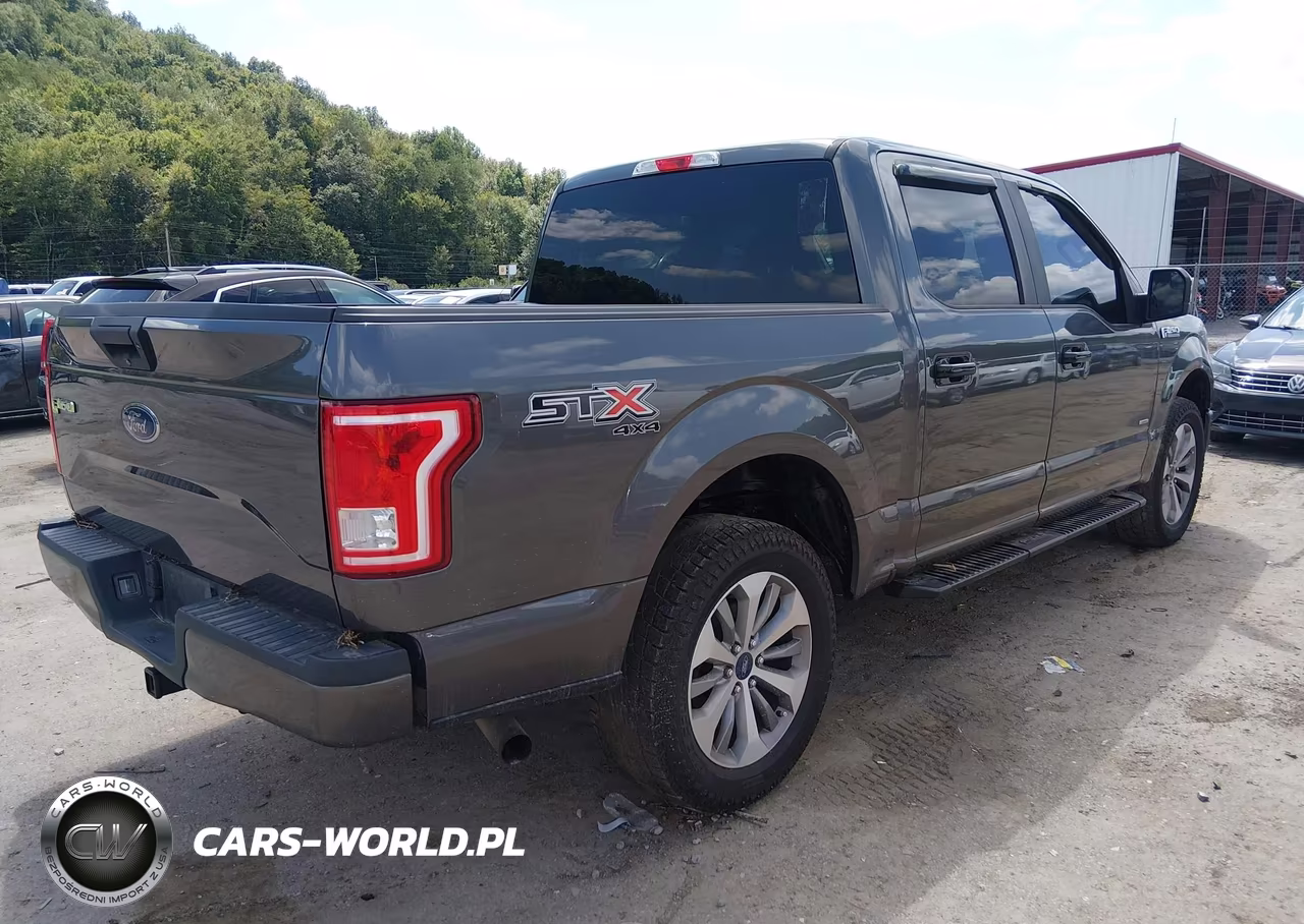 2017 Ford F-150 Xl VIN:1FTEW1EPXHFC12574 - 4