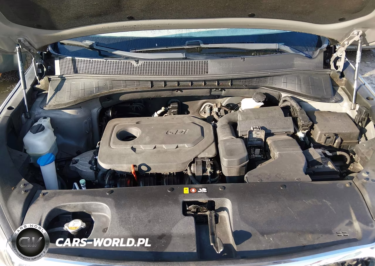 2017 Kia Sorento 2.4L Lx VIN:5XYPGDA30HG298808 - 10