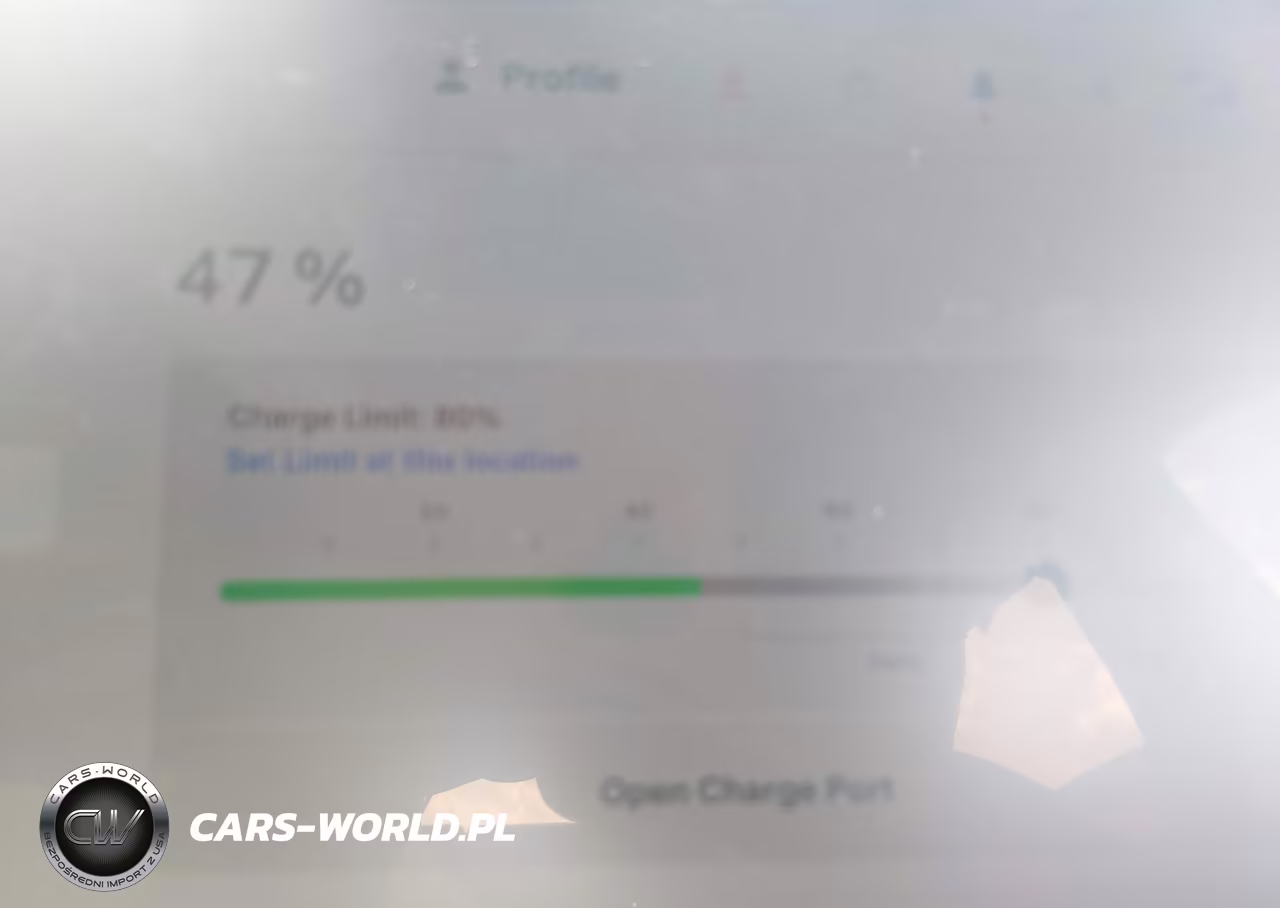 2026 Tesla Model Y All-Wheel Drive-Long Range Launch Series-Premium All-Wheel Drive VIN:7SAYGDEE5TA636199 - 17