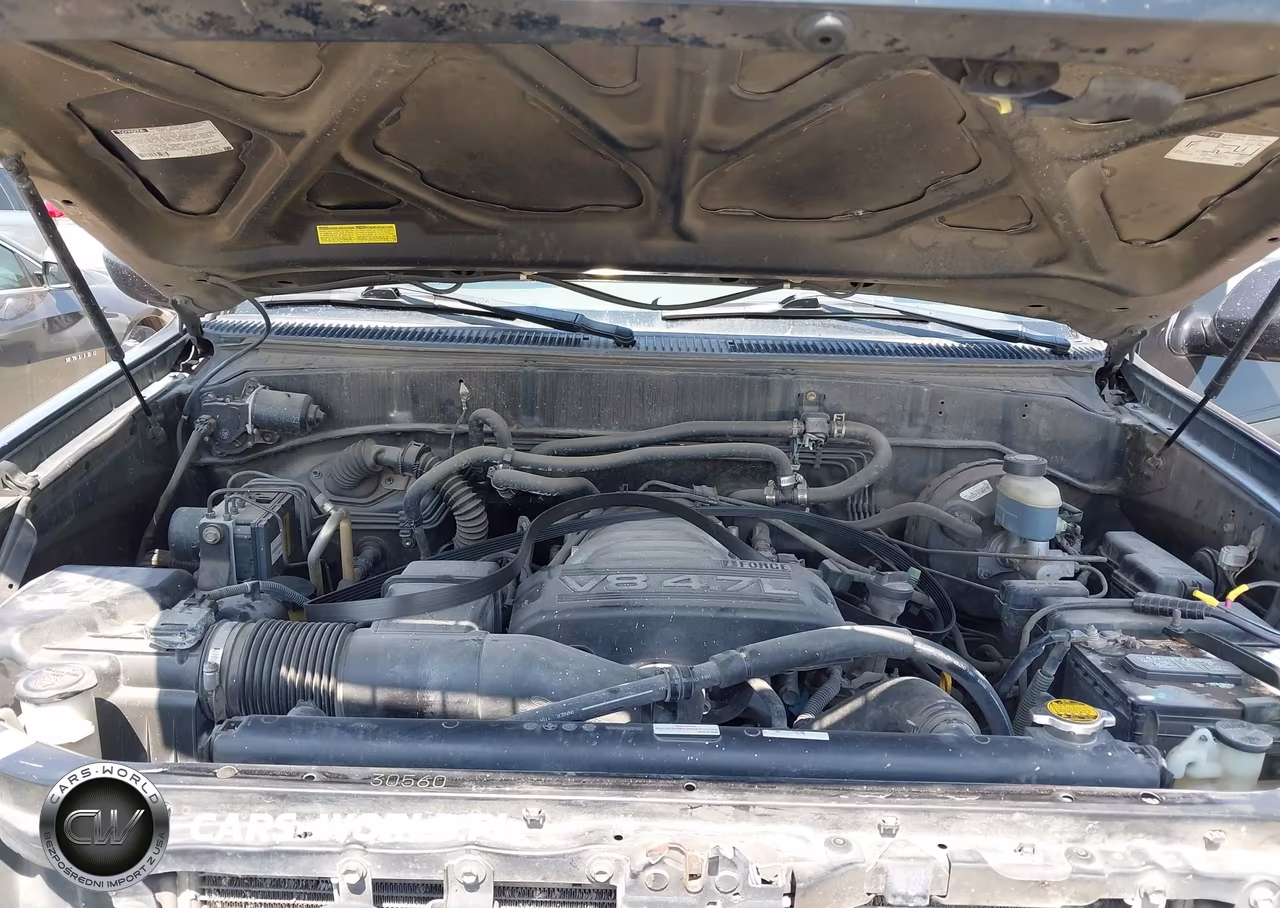 2004 Toyota Sequoia Limited V8 VIN:5TDZT38AX4S209391 - 10
