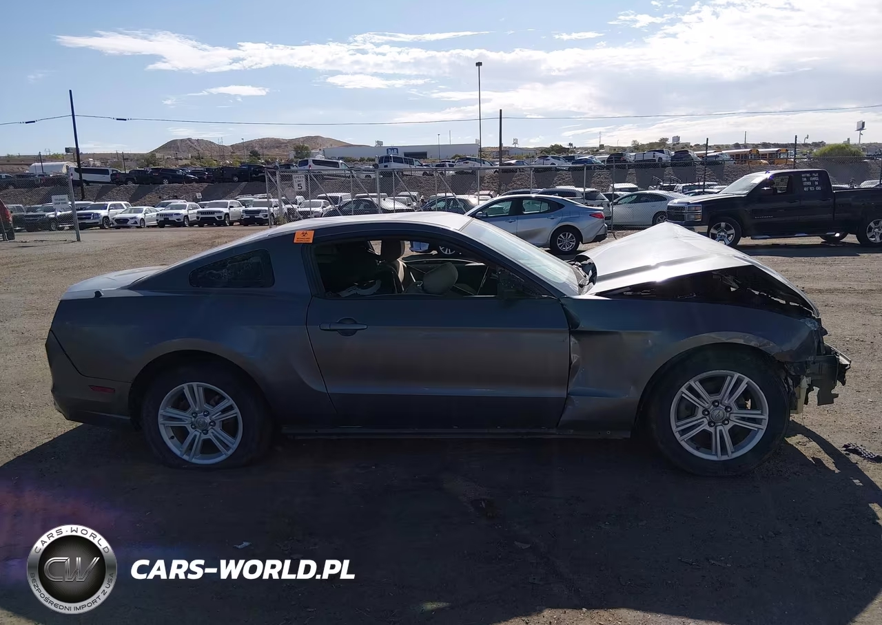 2013 Ford Mustang VIN:1ZVBP8AM8D5249785 - 13