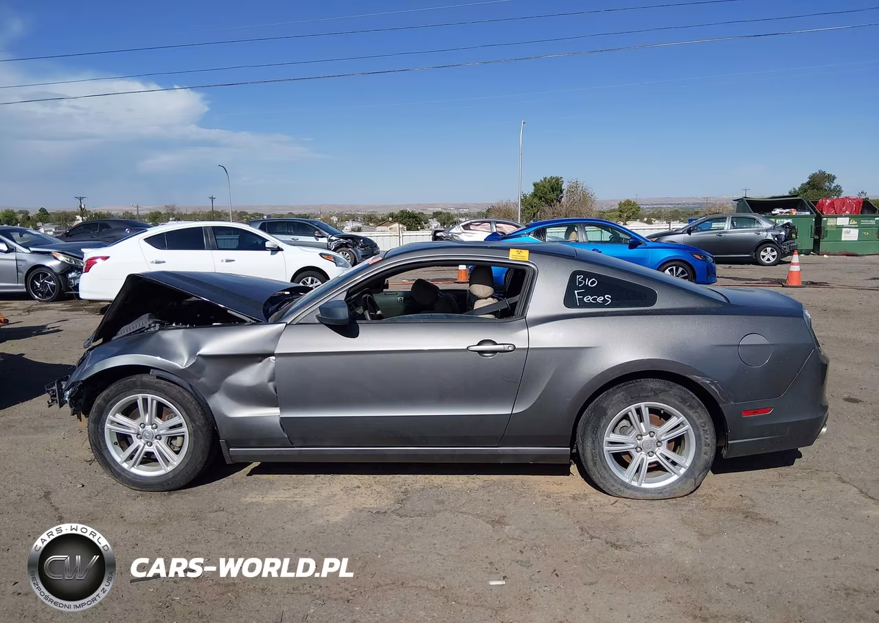 2013 Ford Mustang VIN:1ZVBP8AM8D5249785 - 14