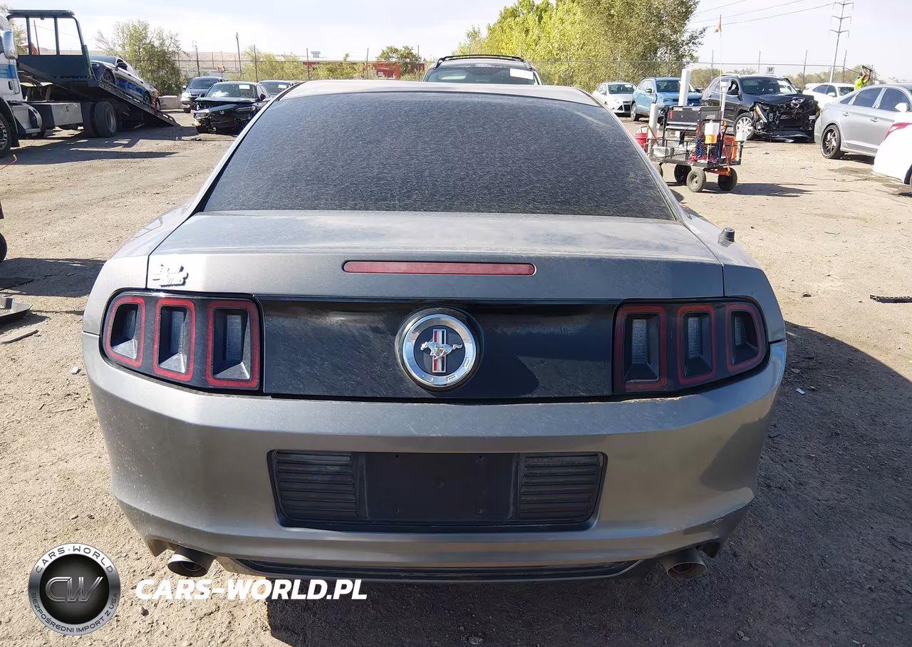 2013 Ford Mustang VIN:1ZVBP8AM8D5249785 - 16