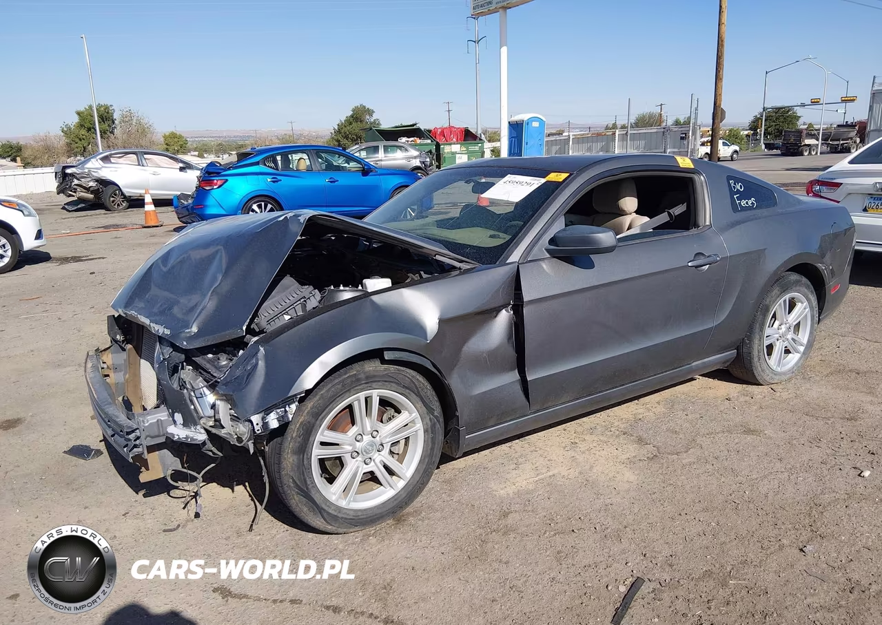 2013 Ford Mustang VIN:1ZVBP8AM8D5249785 - 2