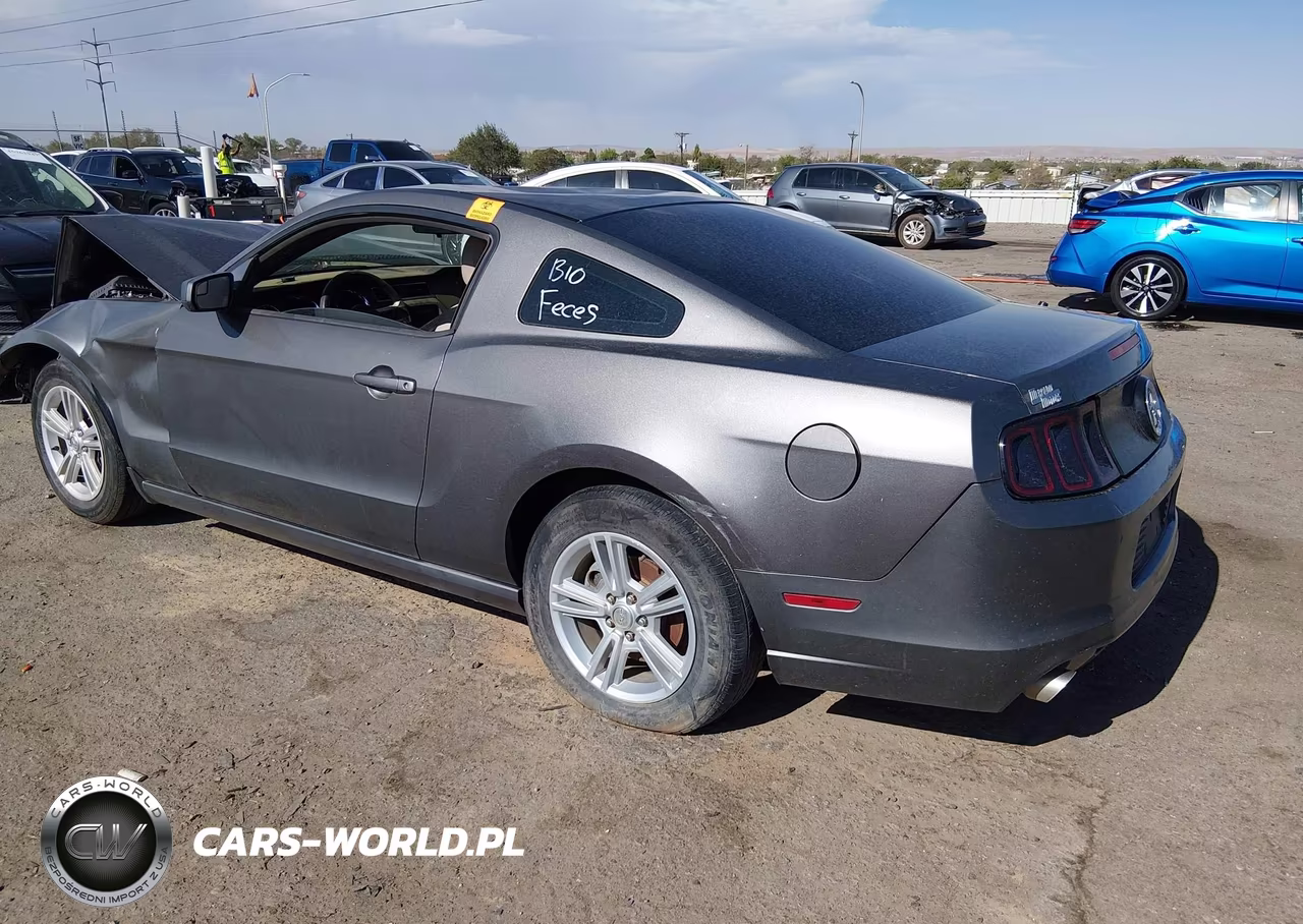 2013 Ford Mustang VIN:1ZVBP8AM8D5249785 - 3