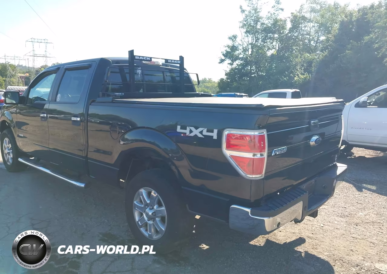 2013 Ford F-150 Xlt VIN:1FTFW1ET5DFC84326 - 3