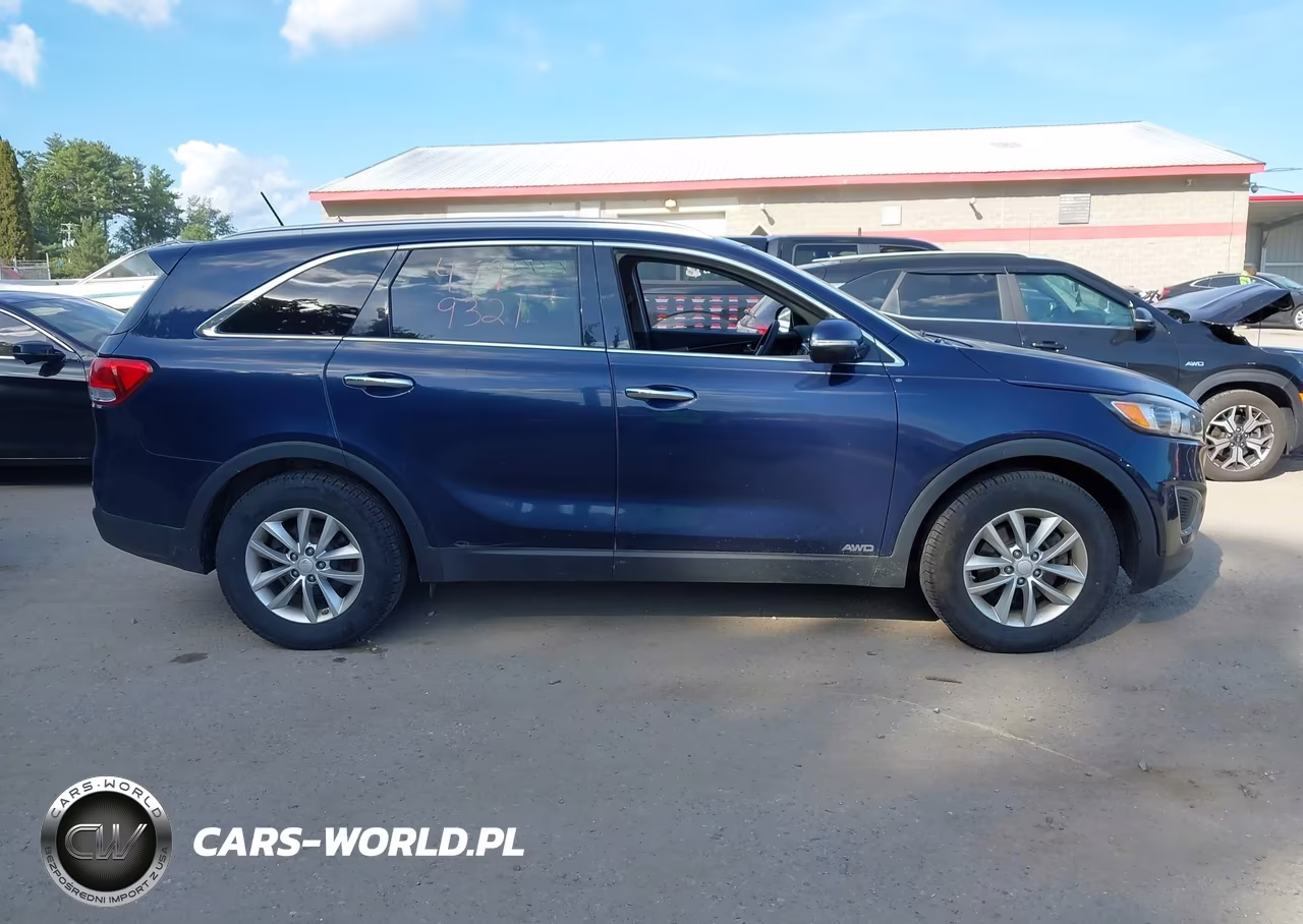 2017 Kia Sorento 2.4L Lx VIN:5XYPGDA34HG296429 - 13