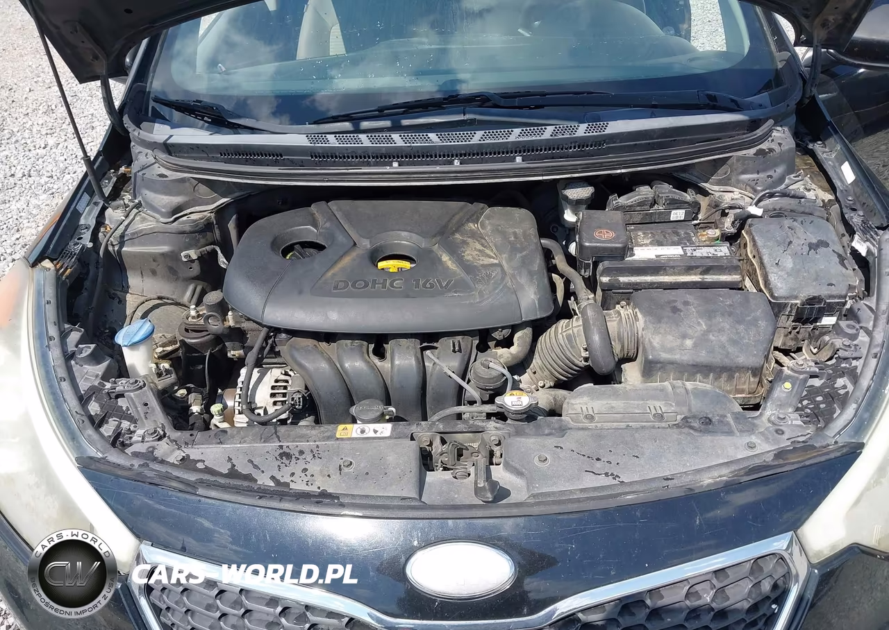 2014 Kia Forte Lx VIN:KNAFX4A66E5061652 - 10