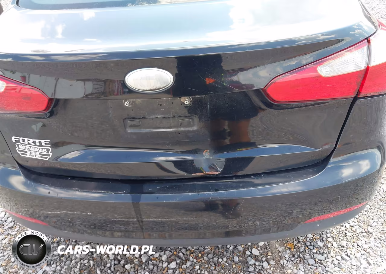 2014 Kia Forte Lx VIN:KNAFX4A66E5061652 - 12