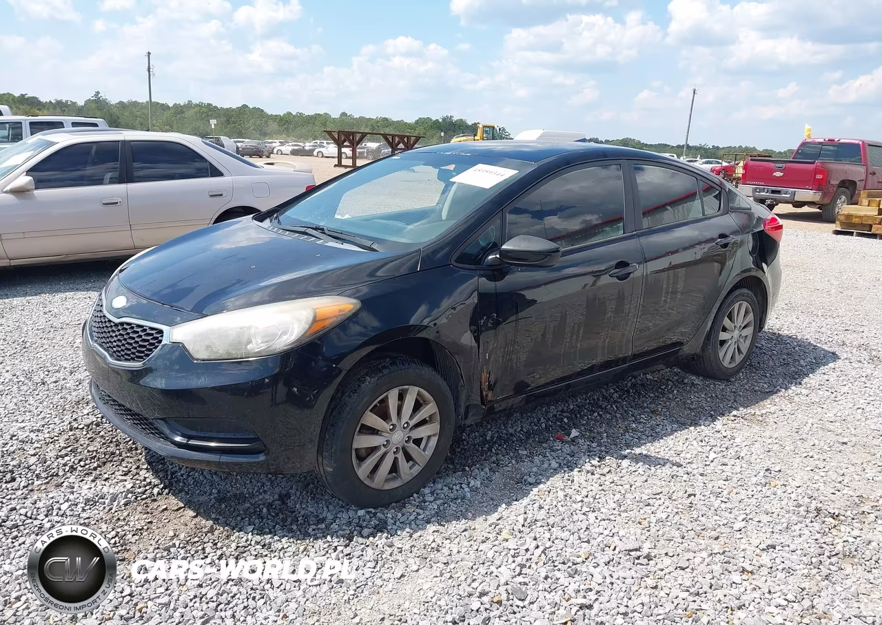 2014 Kia Forte Lx VIN:KNAFX4A66E5061652 - 2