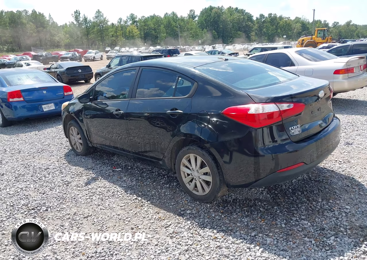 2014 Kia Forte Lx VIN:KNAFX4A66E5061652 - 3