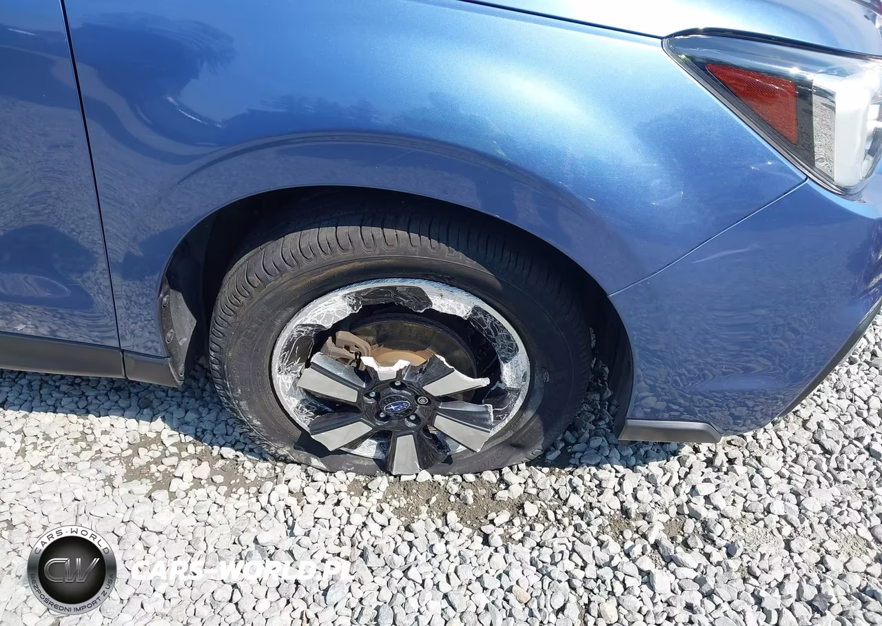 2018 Subaru Forester 2.5I Premium VIN:JF2SJAEC0JH515891 - 19
