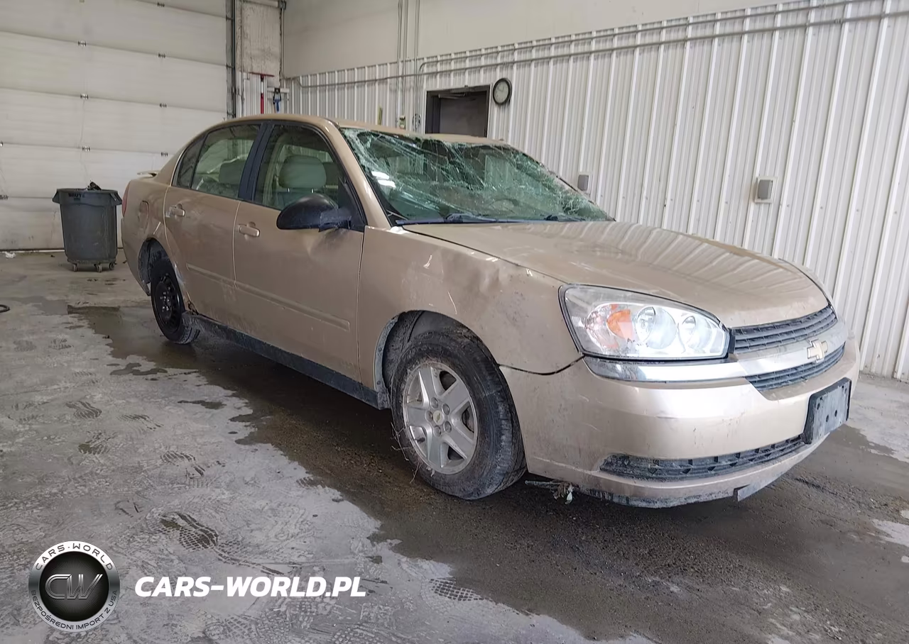 2005 Chevrolet Malibu Ls VIN:1G1ZT54885F241054 - 1