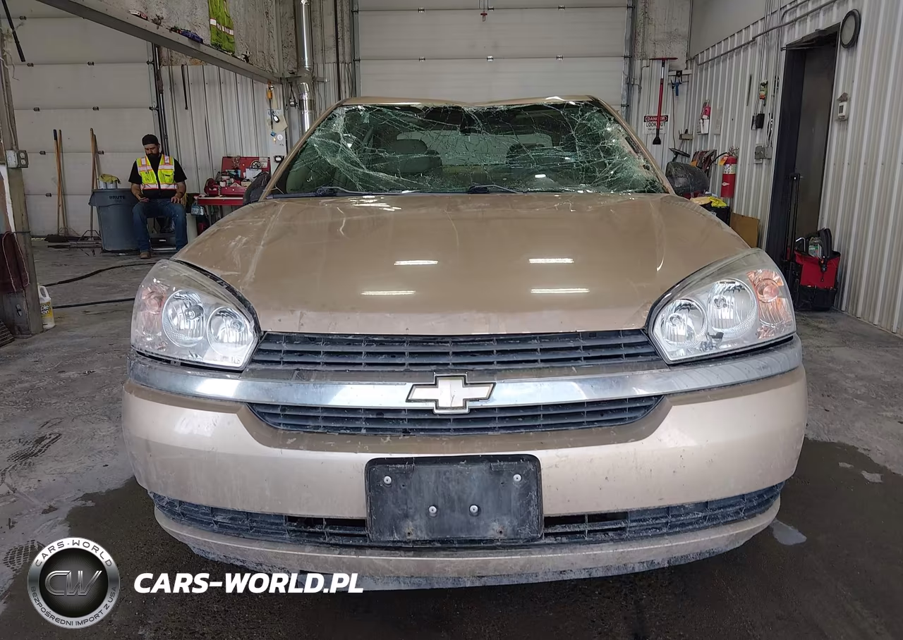 2005 Chevrolet Malibu Ls VIN:1G1ZT54885F241054 - 11