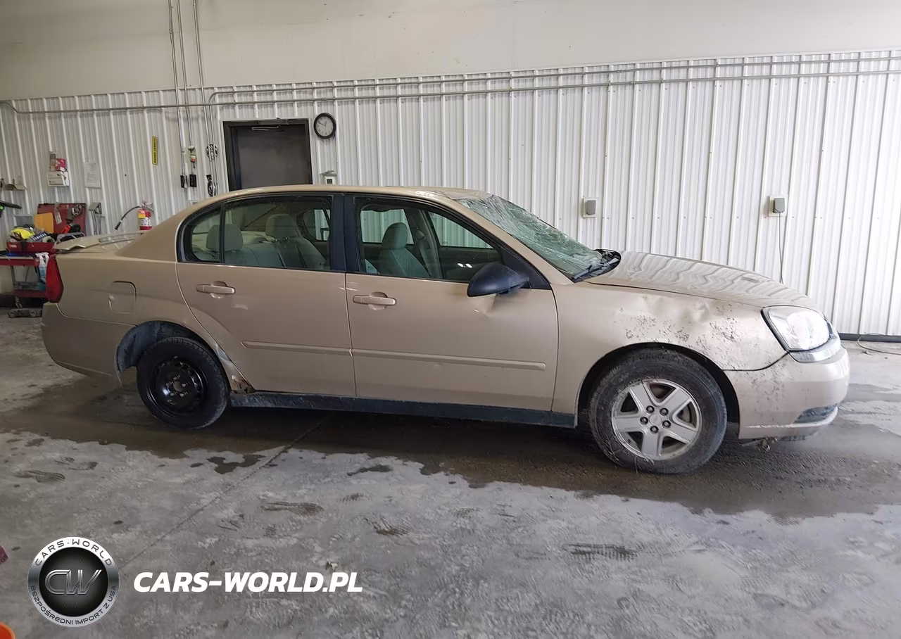 2005 Chevrolet Malibu Ls VIN:1G1ZT54885F241054 - 12