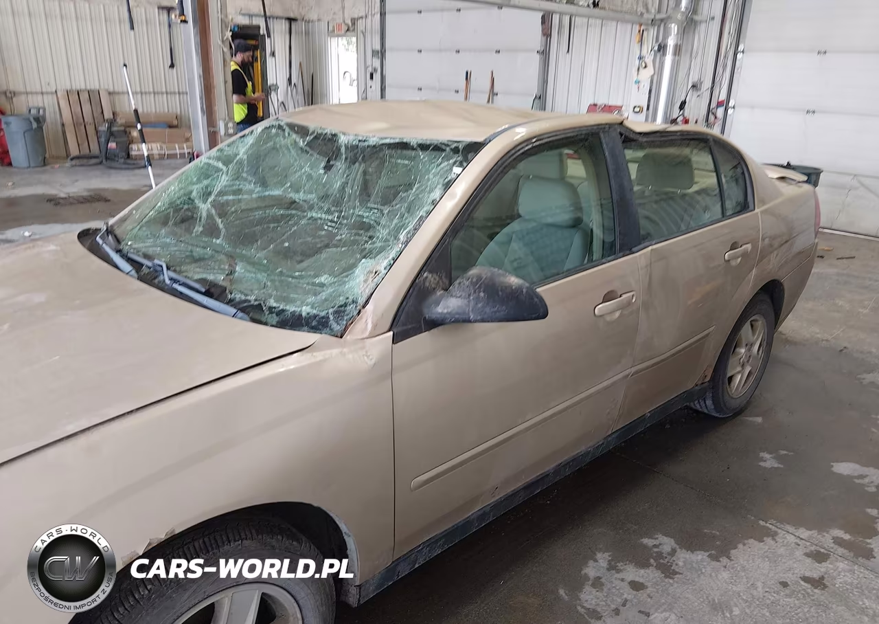 2005 Chevrolet Malibu Ls VIN:1G1ZT54885F241054 - 16
