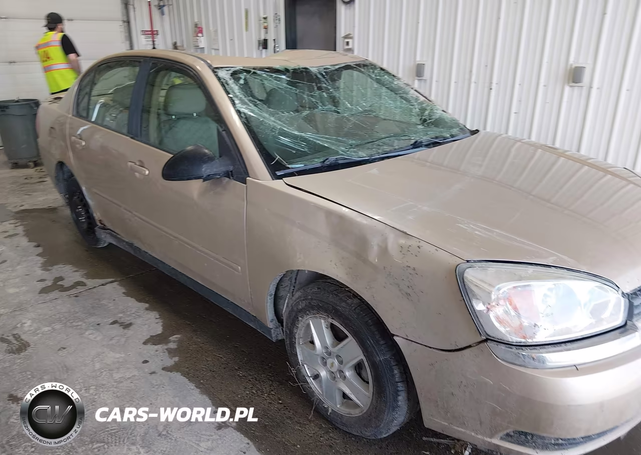 2005 Chevrolet Malibu Ls VIN:1G1ZT54885F241054 - 17