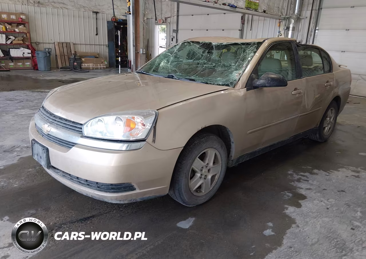 2005 Chevrolet Malibu Ls VIN:1G1ZT54885F241054 - 2