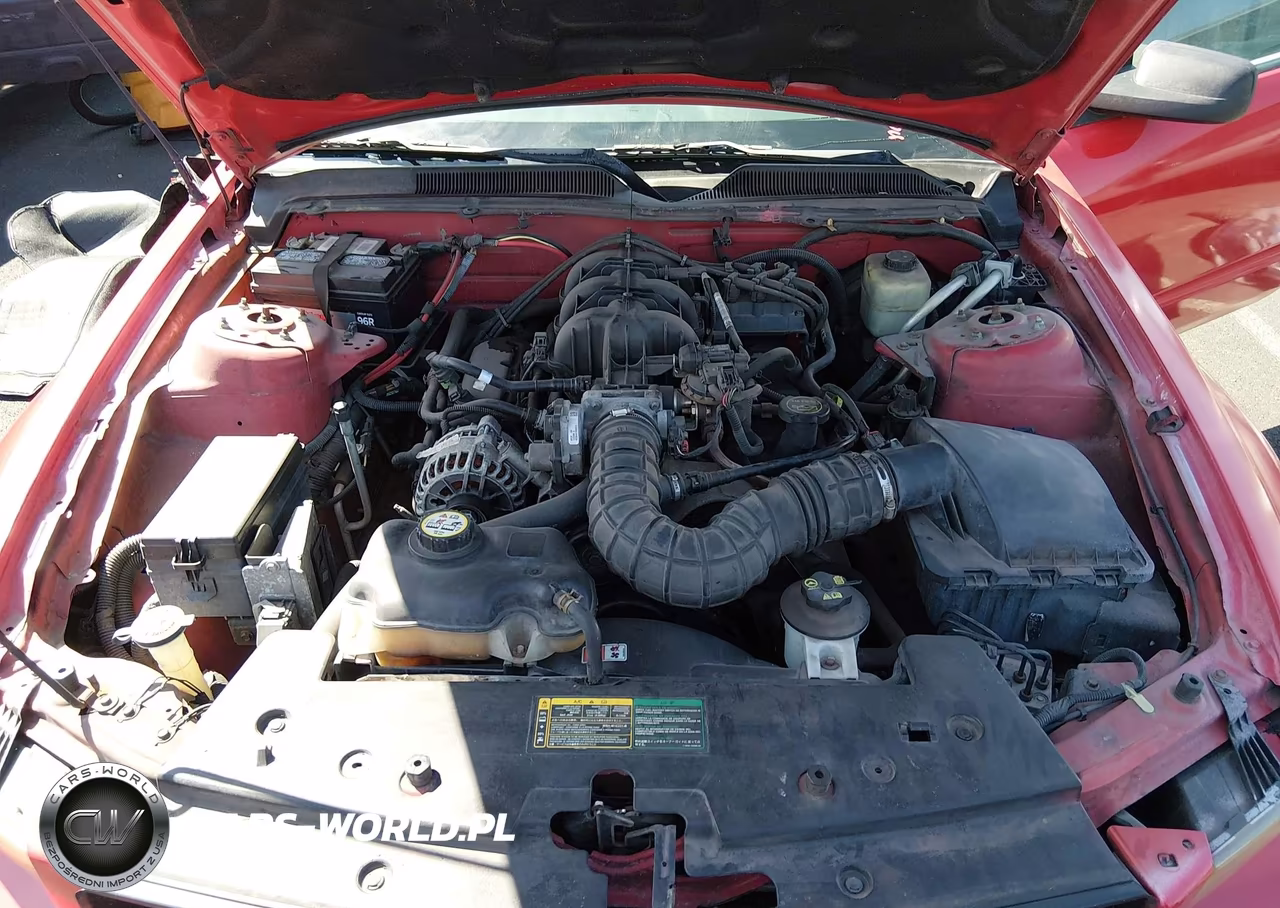 2006 Ford Mustang V6 VIN:1ZVHT84N265216004 - 10