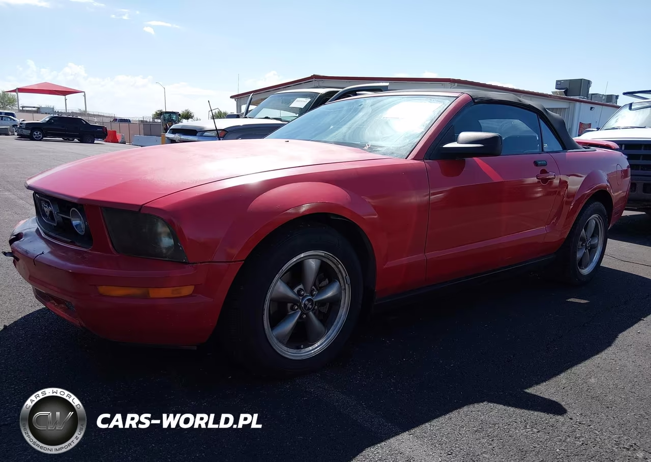 2006 Ford Mustang V6 VIN:1ZVHT84N265216004 - 2