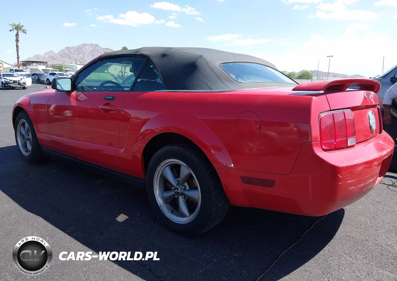 2006 Ford Mustang V6 VIN:1ZVHT84N265216004 - 3
