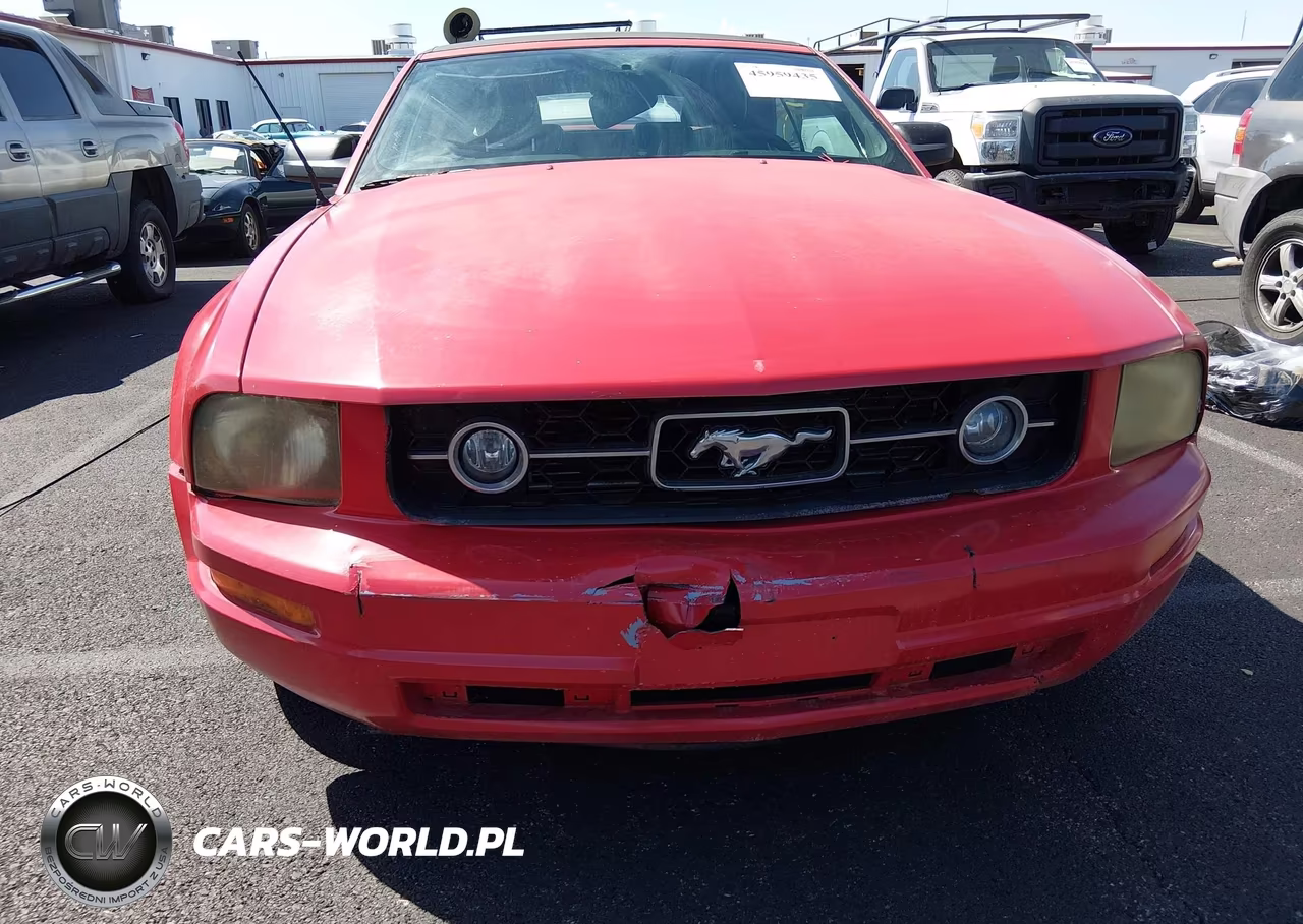 2006 Ford Mustang V6 VIN:1ZVHT84N265216004 - 6