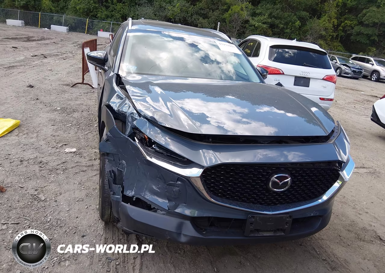 2023 Mazda Cx-30 2.5 S Carbon Edition VIN:3MVDMBCMXPM509423 - 12