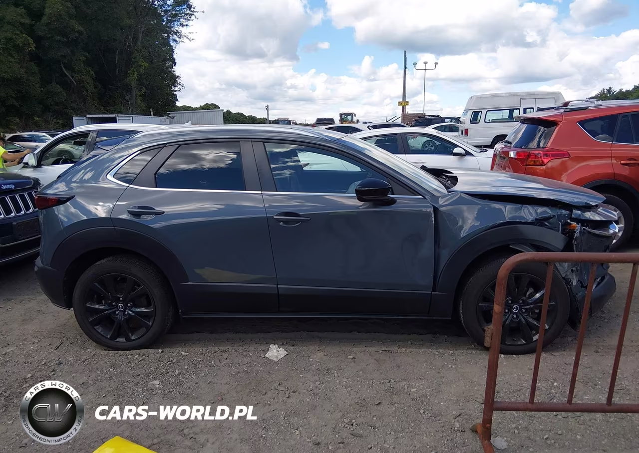 2023 Mazda Cx-30 2.5 S Carbon Edition VIN:3MVDMBCMXPM509423 - 13