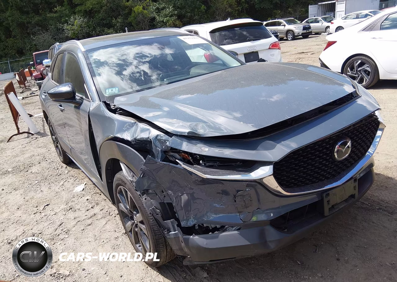 2023 Mazda Cx-30 2.5 S Carbon Edition VIN:3MVDMBCMXPM509423 - 6