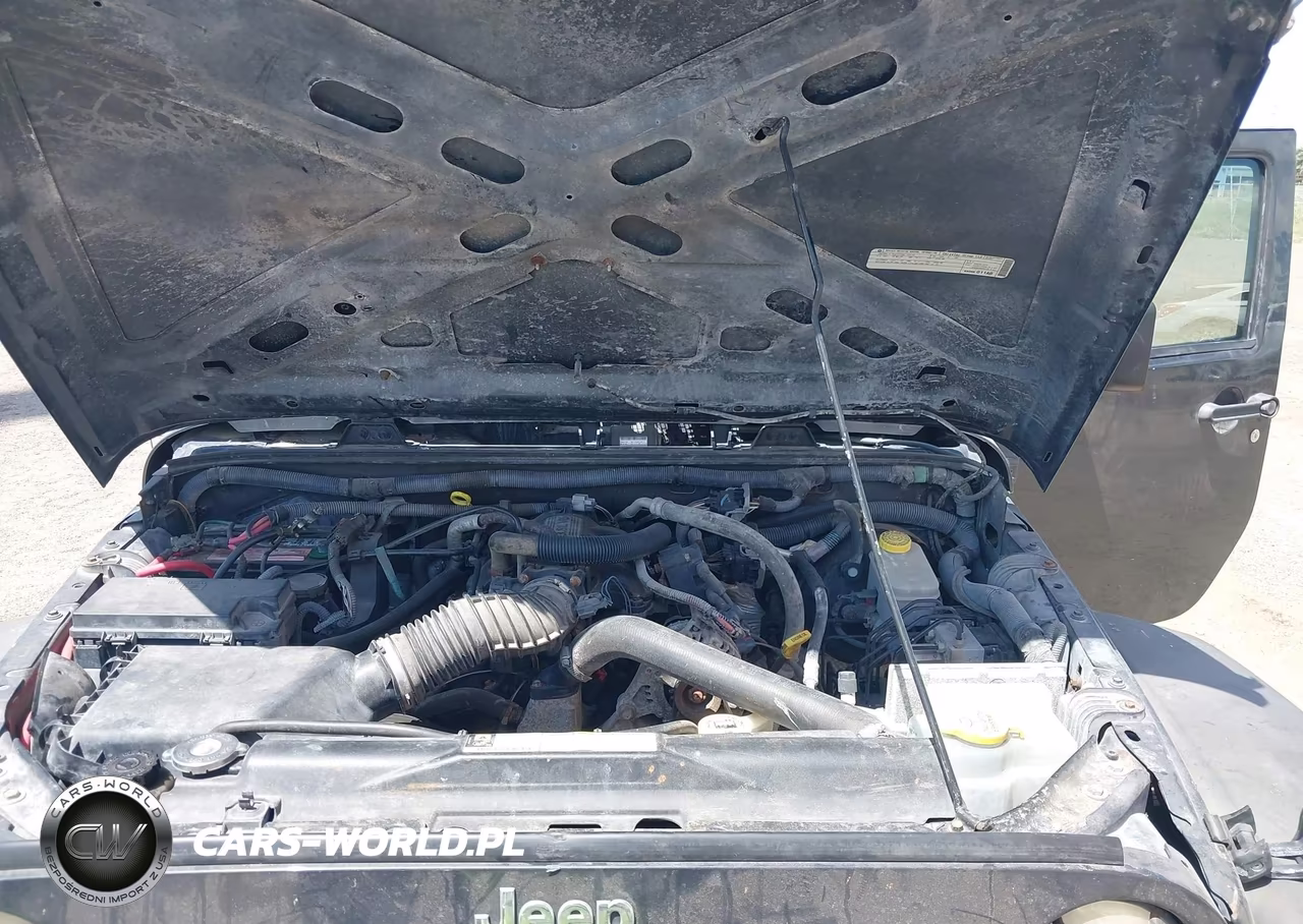 2010 Jeep Wrangler Sport VIN:1J4AA2D18AL125421 - 10