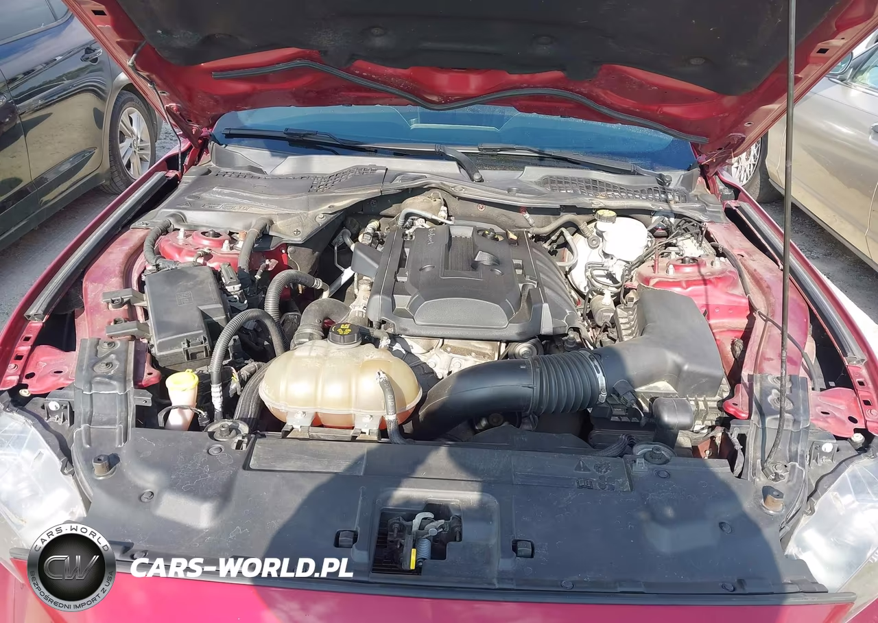 2019 Ford Mustang Ecoboost Premium VIN:1FA6P8TH2K5116477 - 10