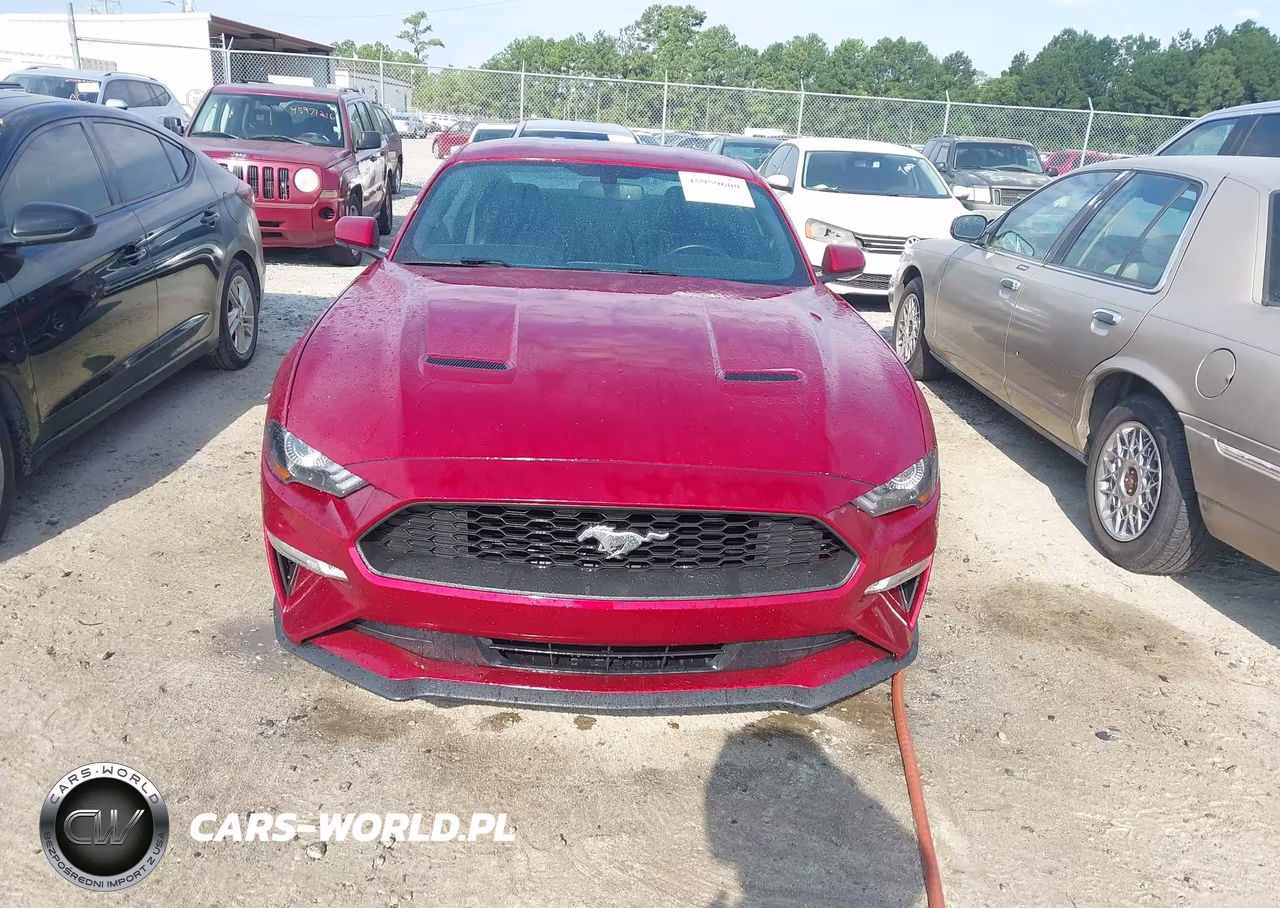 2019 Ford Mustang Ecoboost Premium VIN:1FA6P8TH2K5116477 - 12
