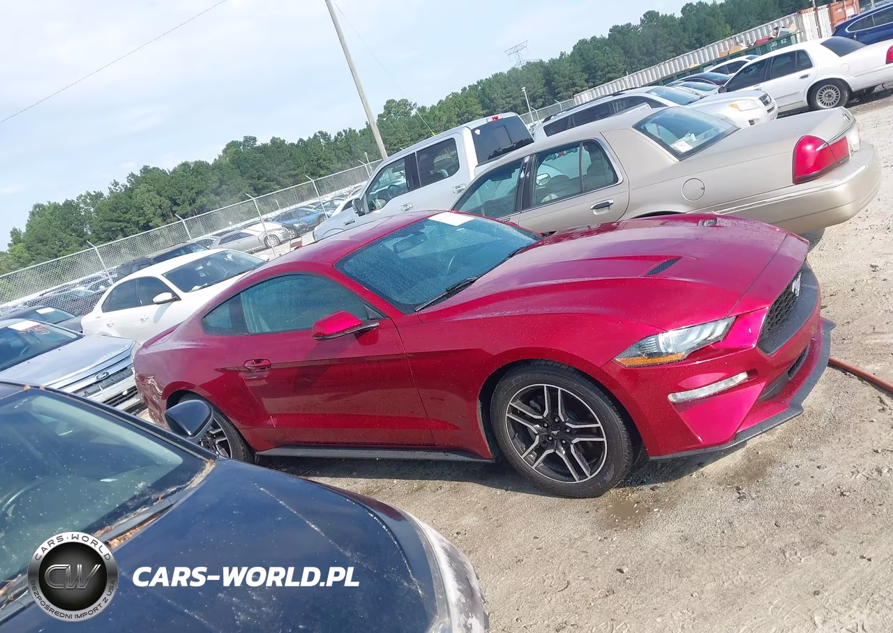 2019 Ford Mustang Ecoboost Premium VIN:1FA6P8TH2K5116477 - 13