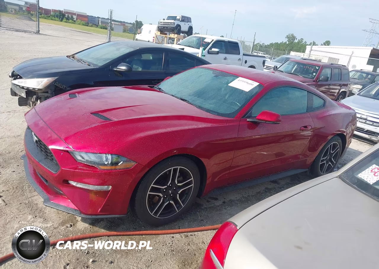 2019 Ford Mustang Ecoboost Premium VIN:1FA6P8TH2K5116477 - 14