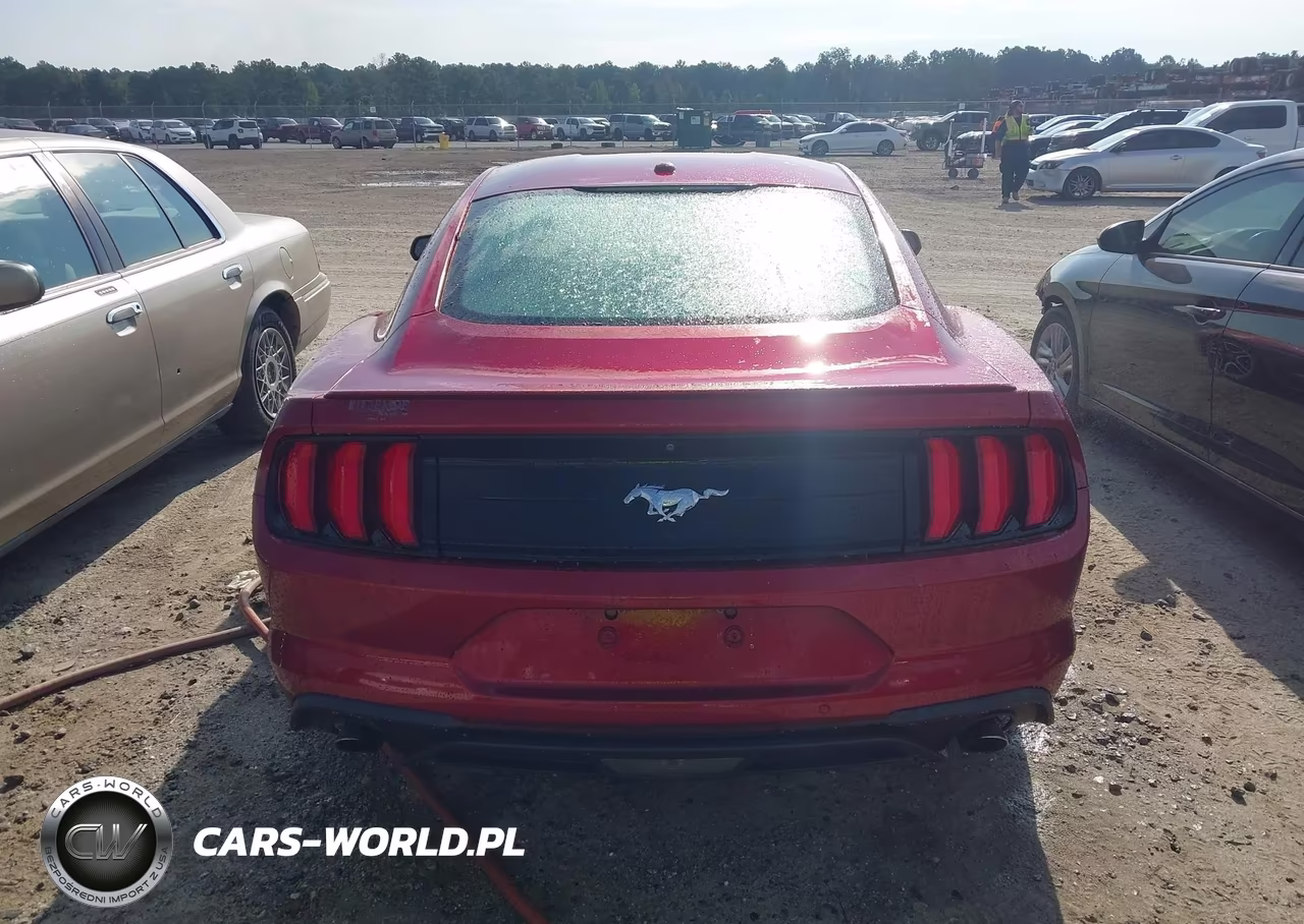 2019 Ford Mustang Ecoboost Premium VIN:1FA6P8TH2K5116477 - 16