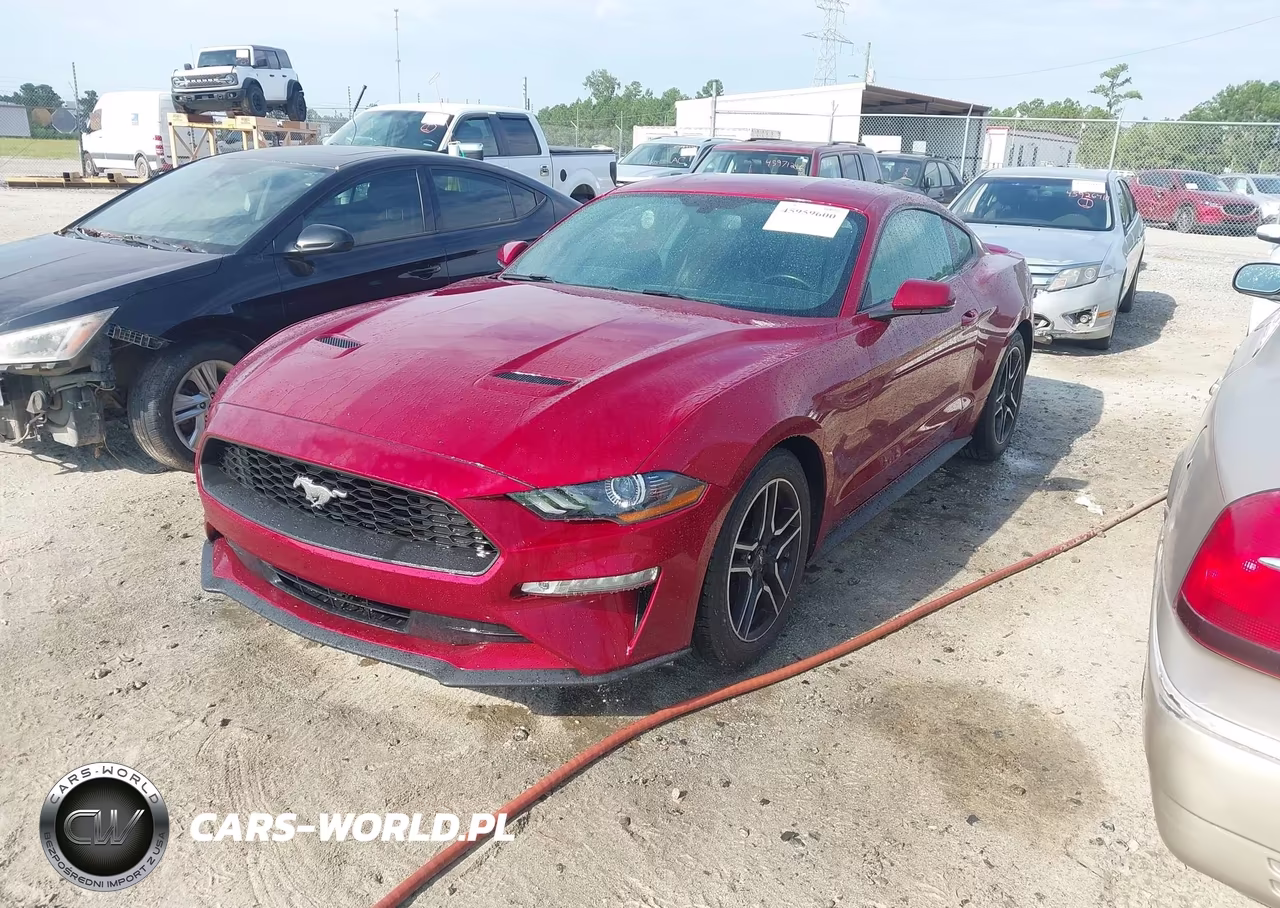 2019 Ford Mustang Ecoboost Premium VIN:1FA6P8TH2K5116477 - 2