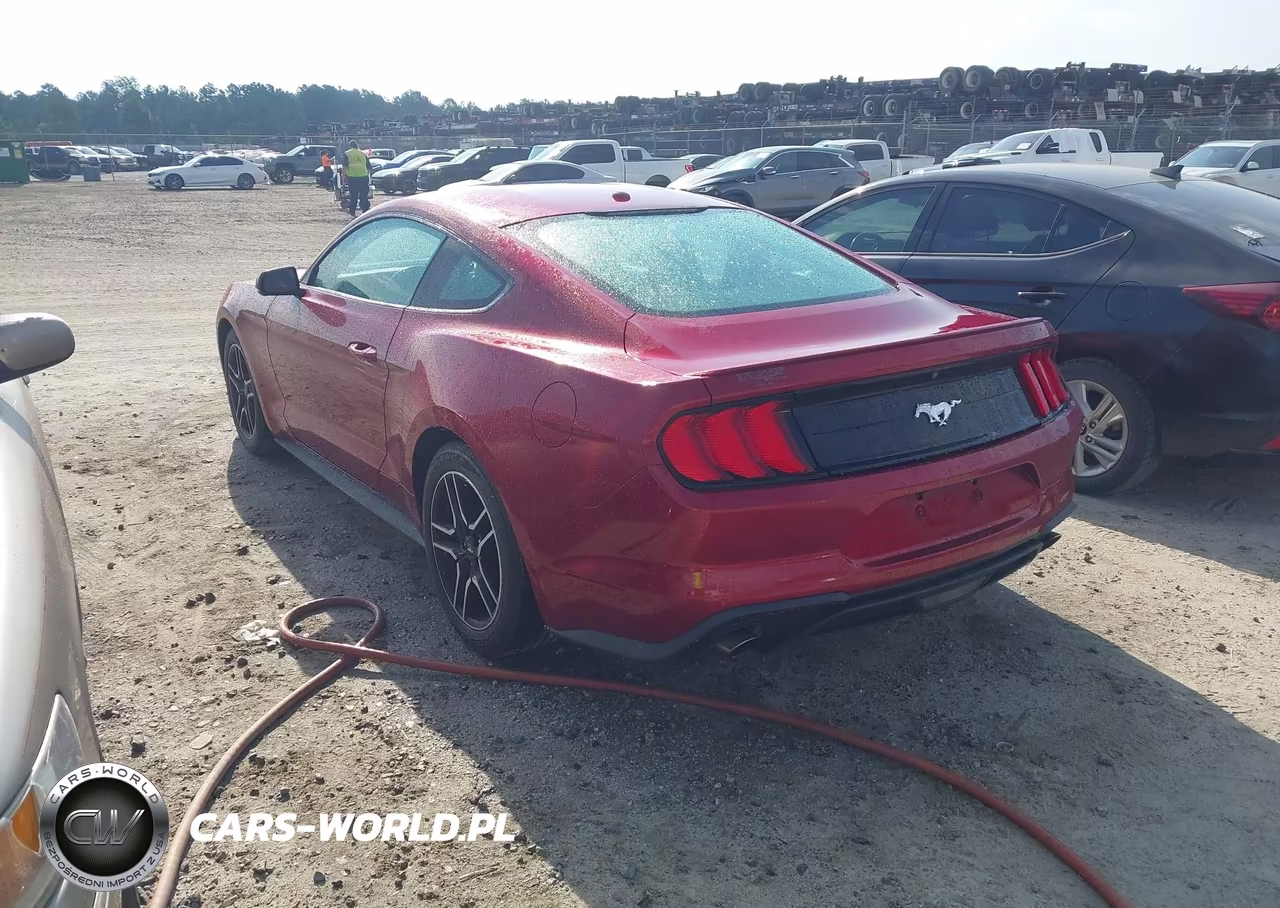 2019 Ford Mustang Ecoboost Premium VIN:1FA6P8TH2K5116477 - 3