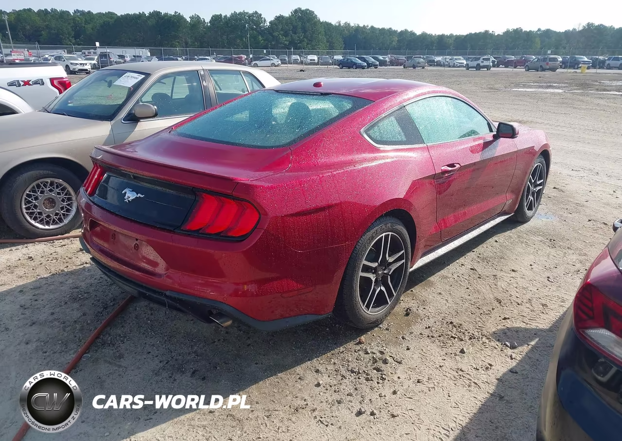2019 Ford Mustang Ecoboost Premium VIN:1FA6P8TH2K5116477 - 4