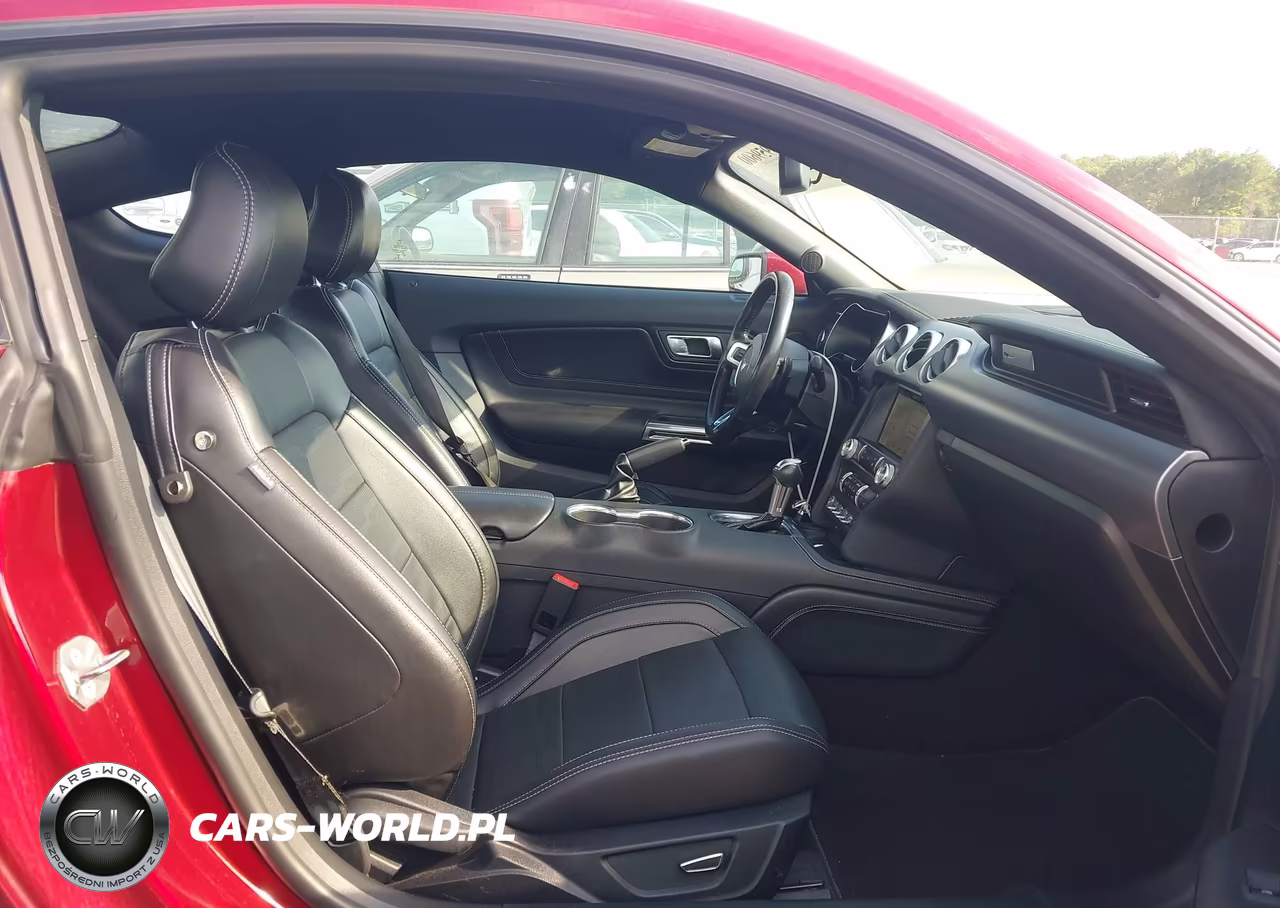 2019 Ford Mustang Ecoboost Premium VIN:1FA6P8TH2K5116477 - 5